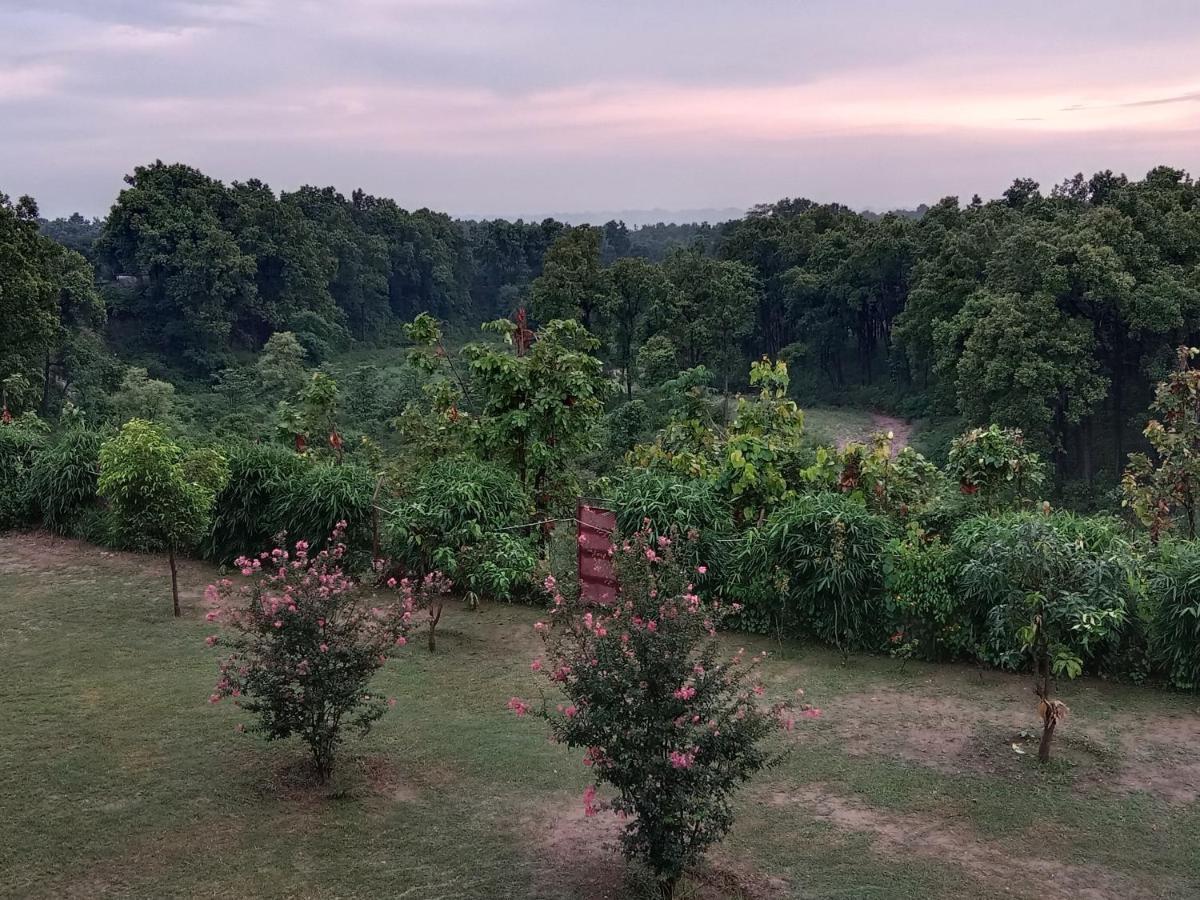 Aar Resort & Spa Jhajra Luaran gambar